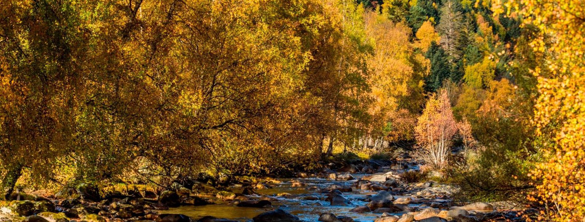 Apartaments Sort Pirineus Zewnętrze zdjęcie