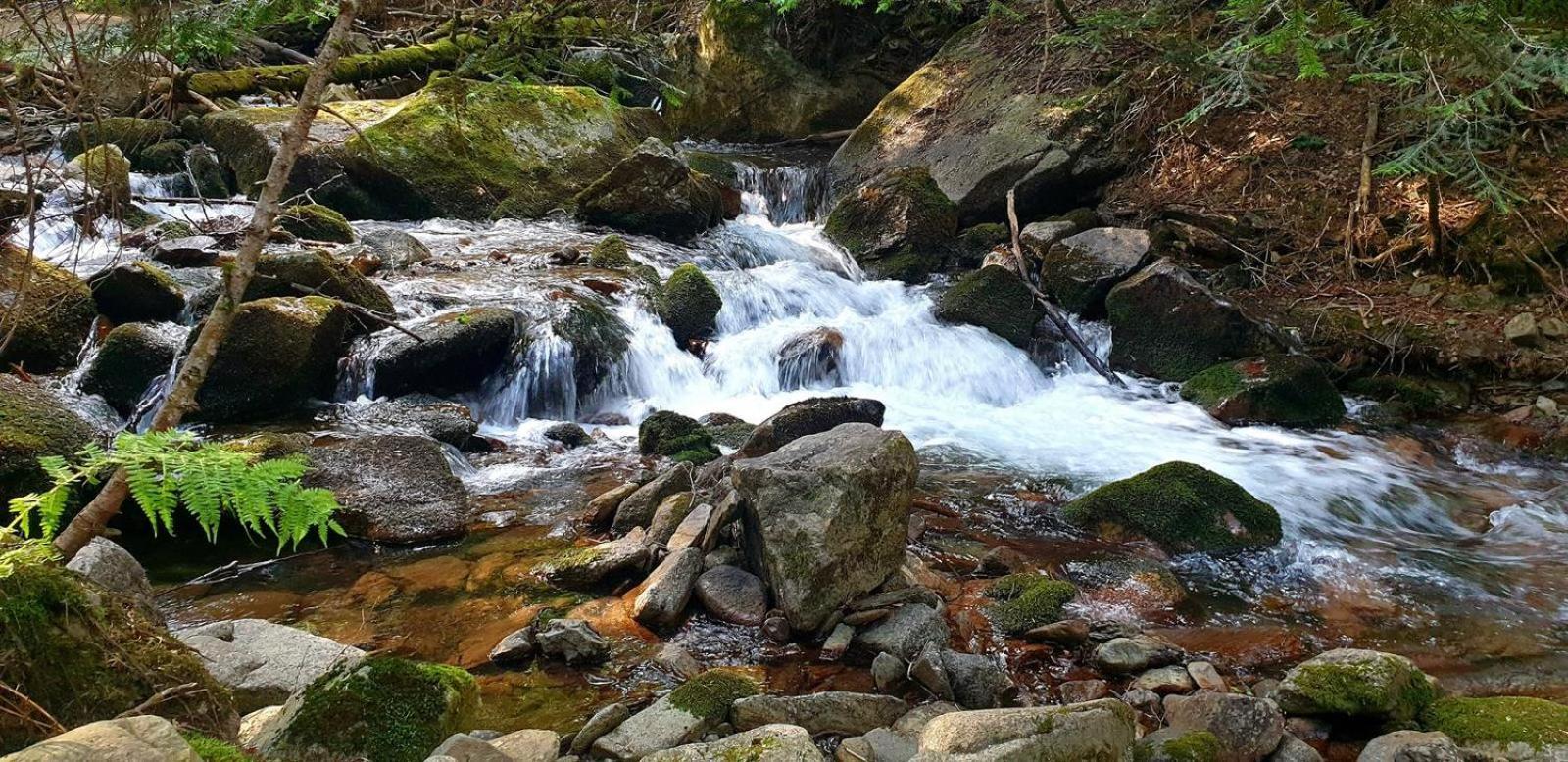 Apartaments Sort Pirineus Zewnętrze zdjęcie